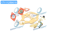 Р/к карбюратора ВАЗ 21083 (1,5л) тип Солекс, полный (22 наимен.) (RIDER) 21083-1107980 UA60