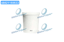Паста для миття рук Magneti Marelli 1л 099996001000 UA60