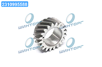 Шестерня коленвала Д-240, 243, 245 Z = 20  240-1005030-А UA60