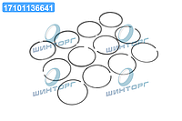 Кольца поршневые ВАЗ 2108 76,0 ( пр-во Prima) 21080-1000100 UA60