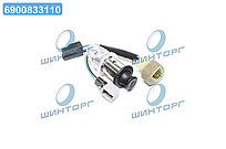 Прикурювач New Actyon (вир-во SsangYong) 8121034101 UA60