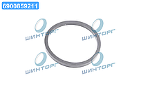 Сальник поршня переднього супорта Kia Pregio/Besta 97- (вир-во Mobis) 0K72F33671 UA60