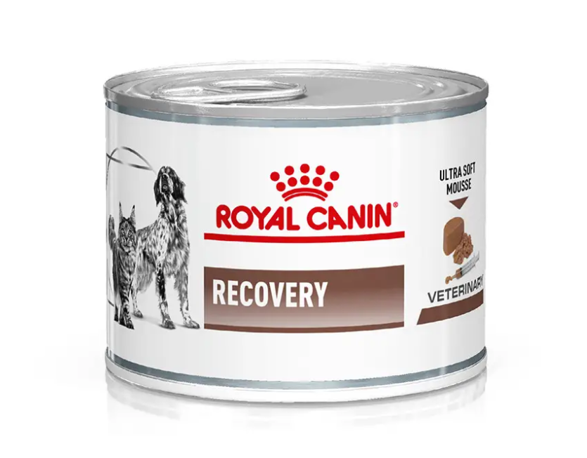 Royal Canin Recovery 195гр консерва для котів в реабілітаційний період