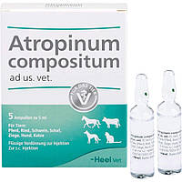 Атропинум Композитум Heel Atropinum Compositum инъекционный гомеопатический препарат, 5 ампул по 5 мл