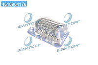 Вкладыши шатунные PEUGEOT STD 1,8/2,0 16V EW7/XU7/EW10 (пр-во KS) 77603600 UA60