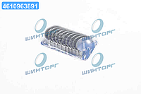 Вкладыши коренные HL RENAULT (пр-во KS) 77085638 UA60