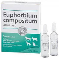 Эуфорбиум Композитум Heel Euphorbium Compositum гомеопатический препарат, 5 ампул по 5 мл