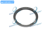 Уплотняющее кольцо, коленчатый вал MB OM651 96x114x9 AS LD FKM (пр-во Elring) 742.960 UA60