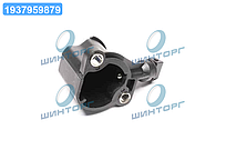 Вимикач свитла заднього ходу AUDI,SEAT,SKODA,VOLKSWAGEN (вир-во FEBI) 21760 UA60