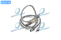 Лямбда-зонд AUDI 80, 100, VW PASSAT (пр-во Bosch) 0258003957 UA60