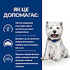 Корм Hills Хиллс PD Canine DermComplete Mini Яйце/рис-харч.алер.та атоп.дерм.-1 кг, фото 5