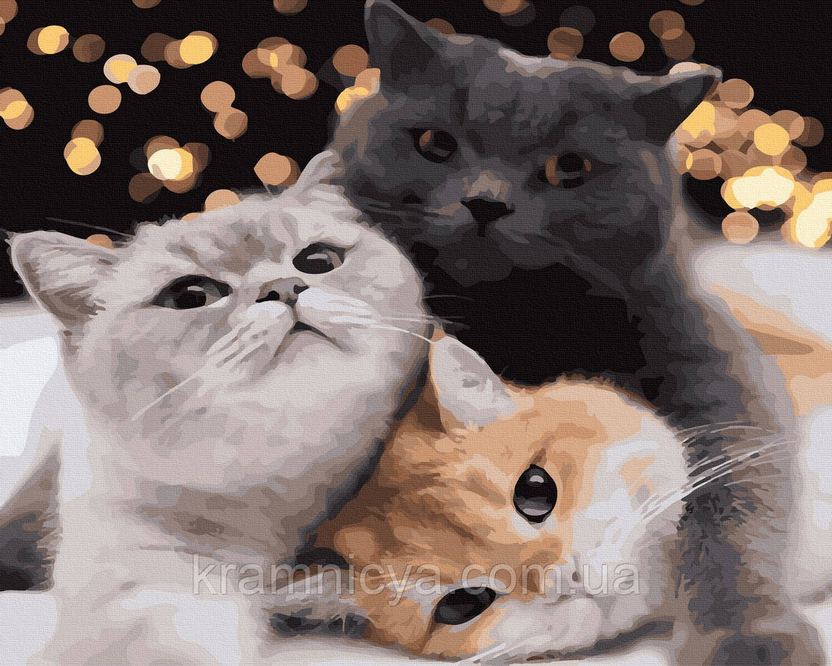 Картина за номерами Три коти, 40х50 (GX40152)