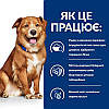 Корм Hills Хиллс PD Canine DermComplete Яйце/рис-харч.алер.та атоп.дерм.-12 кг, фото 3