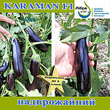 Насіння, баклажан Караман F1 / Karaman F1 ТМ Libra Seeds (Туреччина), проф. пакет 1000 насінин, фото 2