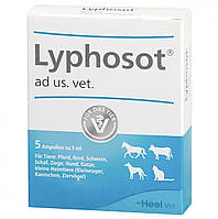 Лифозот Heel Lyphosot инъекционный гомеопатический препарат, 5 ампул по 5 мл