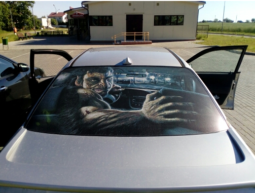 

Наклейка на заднее стекло автомобиля 3D 130cm*70cm