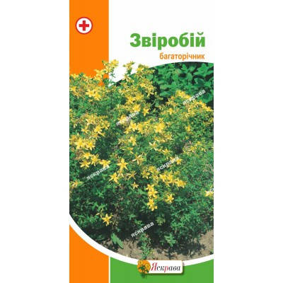

Зверобой