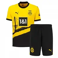 Футбольна форма Боруссії сезону 2024 домашня жовта