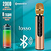 Караоке мікрофон Losso M6 Premium Duet золотий зі стерео звуком, фото 3