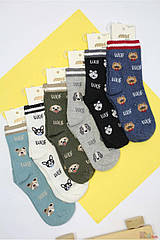 ОПТОМ Шкарпетки з принтом із пісиків "Woof" для хлопчика 3-4 роки (16/3-4 роки) Arti 8680652797347
