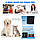 Годівниця для котів та собак автоматична Honeyguaridan S68D WiFi, 6,5л, Біла, фото 7