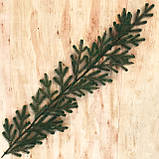 Хвойні гірлянди Traditional литі зелені (упаковка 20 штук по 1,2 м), фото 2