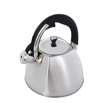 Чайник 3л металевий MR-1333 Maestro