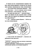 Книга Емі і Таємний Клуб Супердівчат. Книга 9. Фокус-покус. Агнєшка Мєлех, Магдалена Бабінська, фото 9