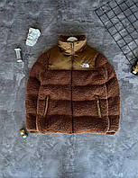 Мужская Зимняя Куртка The North Face Коричневый, M