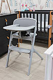 Стілець для годування CARRELLO Sidney+ 3в1 CRL-8405/1, Stone Grey, фото 3
