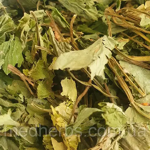 Сныть Трава 50 Грамм (ID#2018024577), цена: 55 ₴, купить на Prom.ua