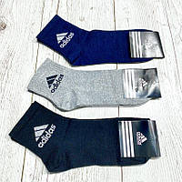 Носки мужские демисозонные ADIDAS р 40-45 (1уп/12пар) "NEW SOCKS" купить оптом в Одессе на 7 км