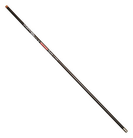 TAIPAN POLE 3.0 M, фото 1