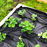 Агроволокно Garden Flora Чорне 90 г/м2 1.07м 50м Польща агроволокно для затінення агроволокно для клумб, фото 3