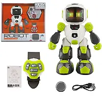 Интерактивный робот Kids Buddy 616-1 с пультом на радиоуправлении танцует, ходит , зеленый