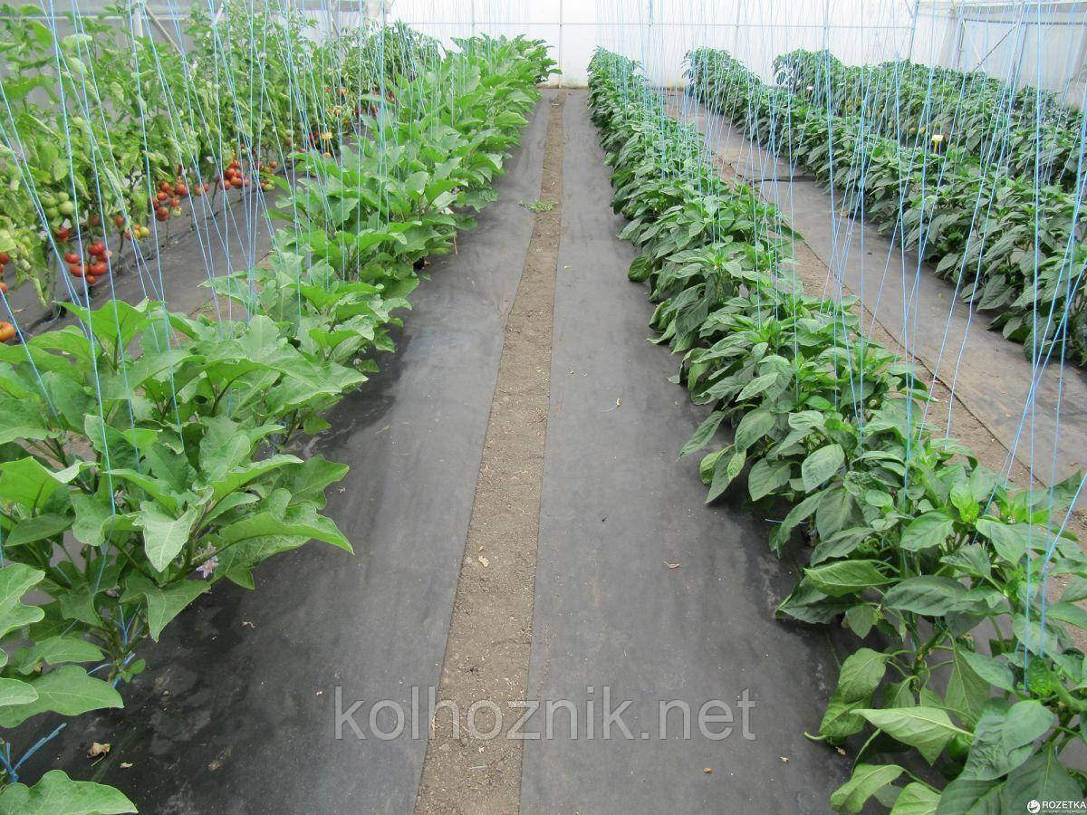 Агроволокно черное мульчующее Garden Flora 90г/м2 - 1.07м/50м Польша - фото 5 - id-p2018102510