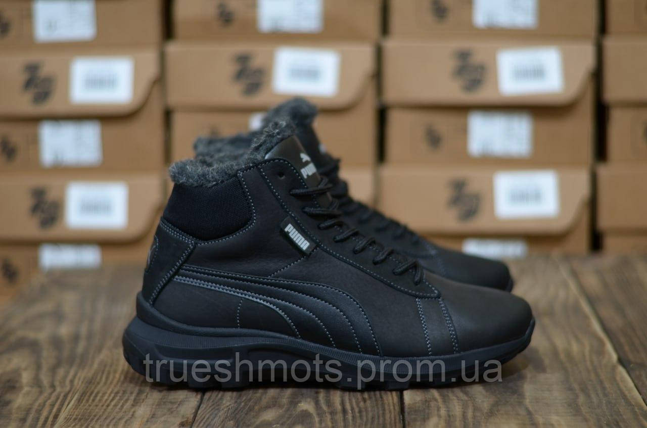 Puma bot top