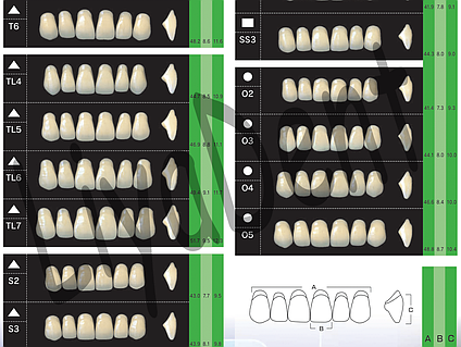 mocchiさまのページ MTH-YAMAZAKURA DX #18818 | Deviser ｜株式会社ディバイザー