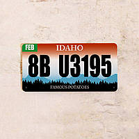 Автомобильный номер Айдахо, автомобильные номера США, металл, 15х30 см.