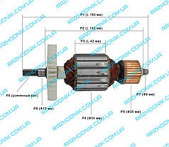 Якір для електропили ELTOS ПЦ-2400/ІЖМАШ ІСЦ-2600