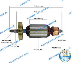 Якір для болгарки Ferm FAG-125N,Wintex 125 (154x38)