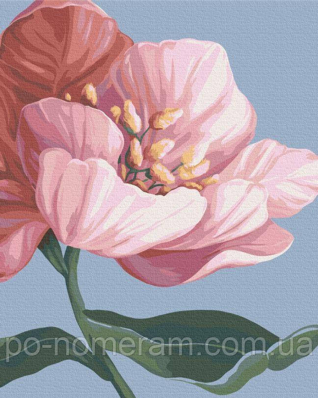 Розмальовка по номерах BrushMe Квітни © Yana Biluhina (BS53759) 40 х 50 см