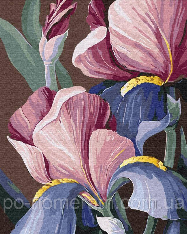 Картина за номерами BrushMe Півники © Yana Biluhina (BS53760) 40 х 50 см