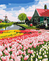 Картина по номерам Голландская провинция (BSM-B52716) 40 х 50 см