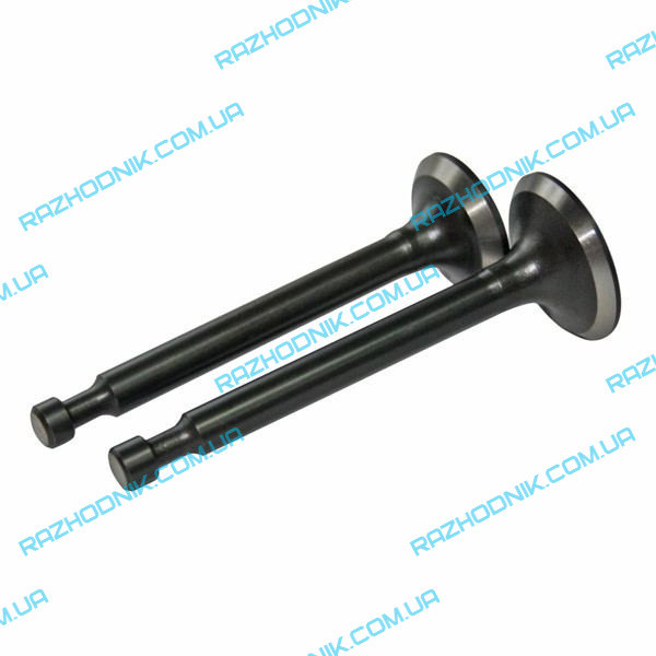 Клапани на віброплиту Honker C101 (впускний і випускний)