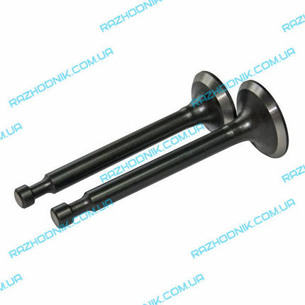 Клапани на віброплиту Honker C101 (впускний і випускний), фото 1