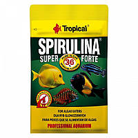 Сухой корм для травоядных аквариумных рыб в хлопьях Tropical Super Spirulina Forte 12 г