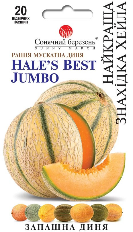 Диня Найкраще відкриття Хейла 20 шт