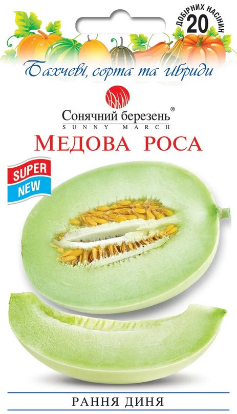 Диня Медова роса 20 шт