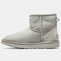 Сапоги зимние женские и мужские UGG Classic Mini light grey с мехом / черевики УГГи мини серые на меху 36